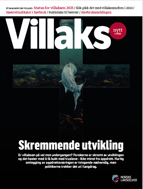 cover villaksnytt